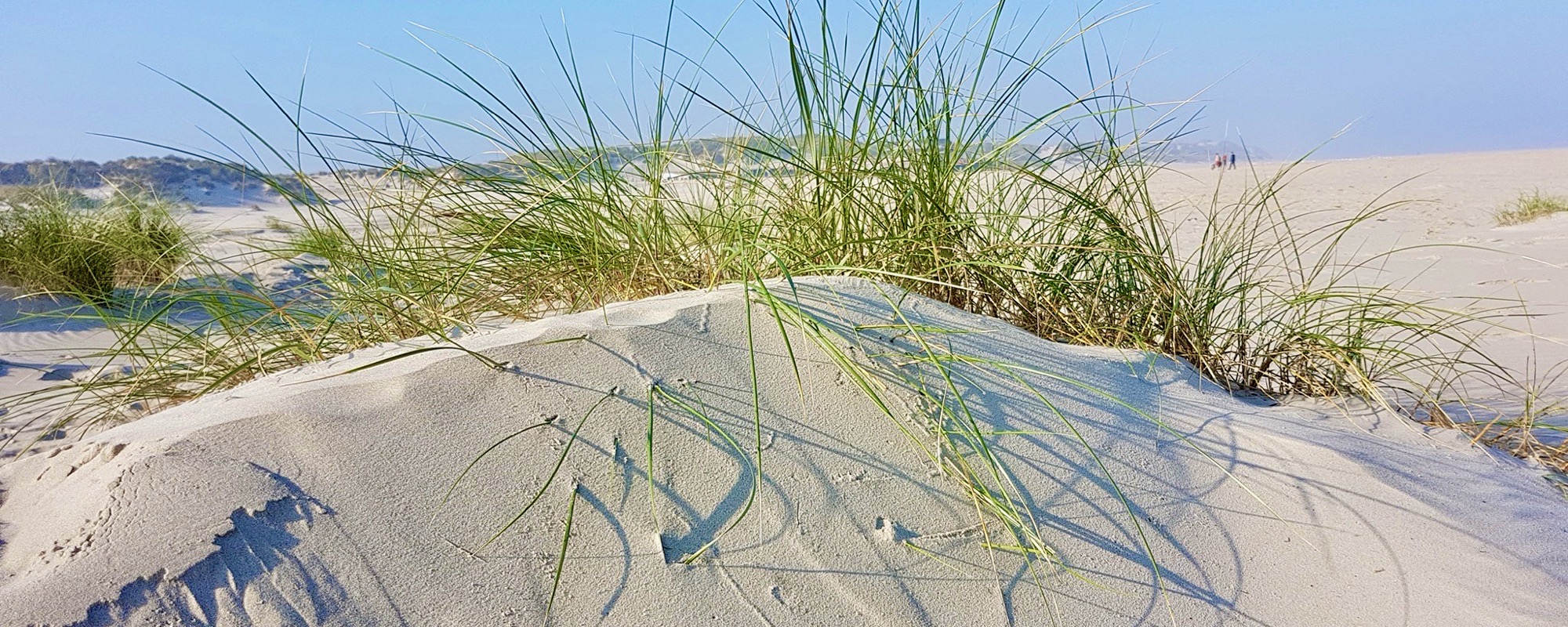 Duinen in stralende zon