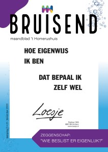 Voorblad Bruisend 8 over Zeggenschap